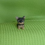 ヨークシャーテリア パピー 羊毛フェルト