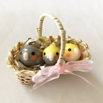 送料込み☆カゴ入りオカメインコ