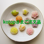 kotopさまご注文品