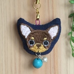チワワで、綺麗に汚れをとる♪  再No.1