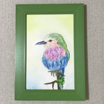 水彩画 鳥