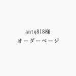 【antq818様様オーダー】小枝アクセサリーセット