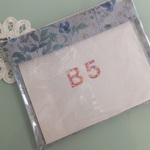 再販リバティビニコのB5クリアポーチ＊イルマグレー