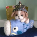 🎏鯉のぼりとシーズーちゃん　　