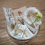 シャーレの中の小さな世界F