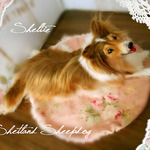 シェルティ　シェルティー　コリー　羊毛フェルト　M～L