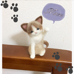 手のひら猫さん