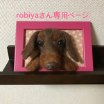 額縁犬オーダー 品