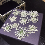 押し花