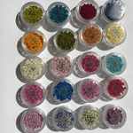 レースフラワー/限定1セット🌈20色200枚★(๑>◡<๑)/《2.5cm前後》🌼ハンドメイド(๑>◡<๑)/円形ケース付