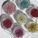 レースフラワー/7色70枚🌈限定1セット(๑>◡<๑)/《2.5cm前後》押花ハンドメイド(๑>◡<๑)/円形ケース付