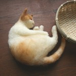 かご猫★ご予約品　minto-0625様
