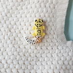 ヒョウモントカゲモドキのブローチ　羊毛フェルト