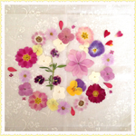 押し花＊ミックス⑩