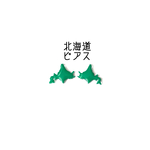 【お色が選べる‼︎】再×2＊北海道ピアス