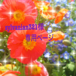 sylvanian321様  専用ページ