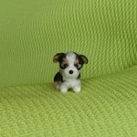お取り置き品 コーギー  パピー   羊毛フェルト