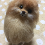 羊毛フェルトの可愛いポメラニアン