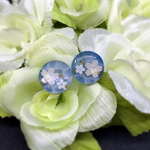 桜と水面のピアス
