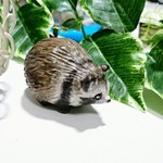 粘土フィギュア　たぬき