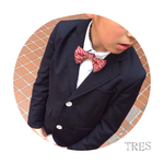 【TRES】蝶ネクタイ  アジャスター付き ダブルリボン 