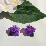 紫色*艶やか*アジサイ…イヤリング/ピアス