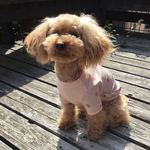 セール中【S】ピンクドットTシャツ♪