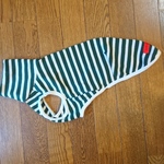 イタグレ服ニットシャツボーダー柄