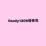 Candy1206様専用 ミニチュアケーキセット