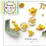 ぷっくり丸いmimosaピアス/イヤリング 《受注生産》