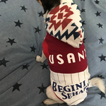 アメカジネイティヴ