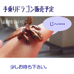 手乗りドラゴン　レッドドラゴンと販売日のお知らせ