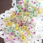 パステルmix②