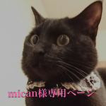 バレッタ