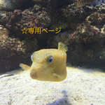 ayn0210xoxo様専用ページ☆