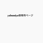 yabumiya様専用ページ♫