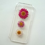 押し花のiPhoneケース - マーガレット -  大人ピンク