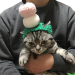 猫用帽子 3色だんご
