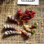 多肉植物    レアなセダム カット苗  セット