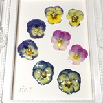 【rie.t】ビオラ♡イヤリングorピアス