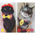 蝶ネクタイ、ネクタイ付き三角襟猫ちゃんの首輪