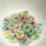 ドライフラワーかすみ草　パステル
