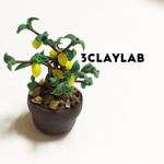 ☆送料無料☆ずっと一緒だよ（鉢植えレモン）