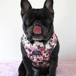 クールエプロン おちゃめなフレブル　ピンク