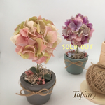 ⚪〇✲*ﾟポンポン〇✲*ﾟトピアリー⚪