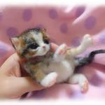 おねがいにゃんこＮｏ．18