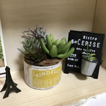 多肉植物 フェイクグリーン リメ缶 寄せ植え