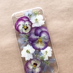 iphone6/6S  ビオラの押し花スマホケース