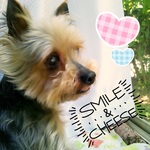 【moneyco-1210さまオーダー作品】オーバル収納バスケット(L) ルージュレッド＆バニラクリーム