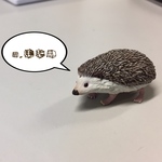 m.様専用ページ੯•́ʔ̋ ͙͛*͛ ͙͛*͛ ͙͛̋و
